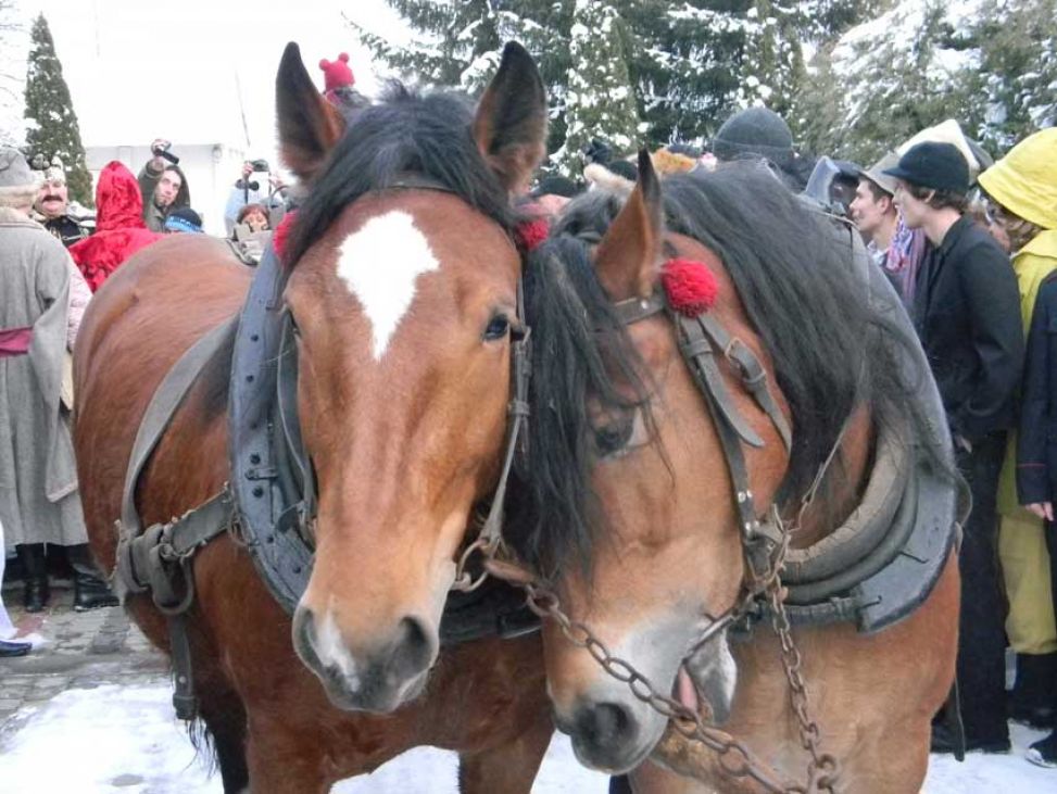 Skaryszewskie ?Wstępy? 2013 tradycja a zmiany czasowe